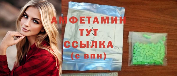 стафф Алексин