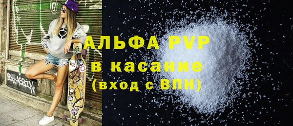 стафф Алексин