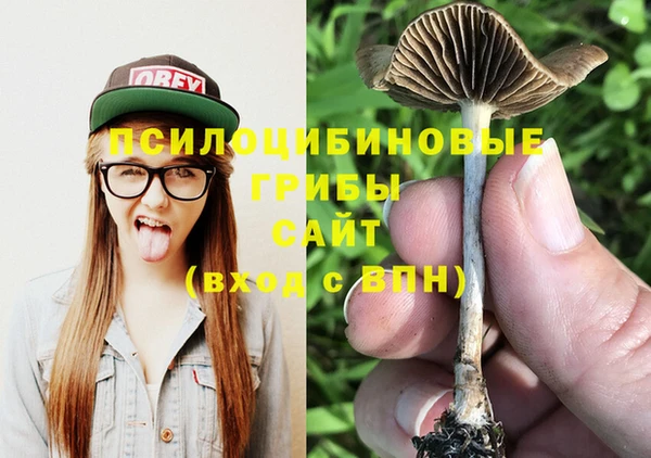стафф Алексин