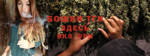 дмт Сатка