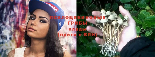 стафф Алексин
