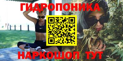 крисы Бийск