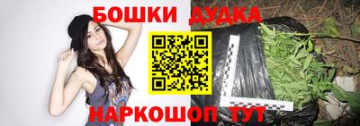 крисы Бийск