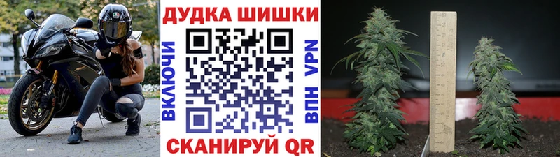 Марихуана AK-47  кракен ССЫЛКА  Лобня  наркотики 